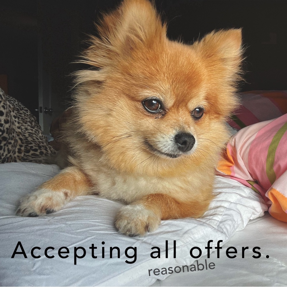 Make an offer!
